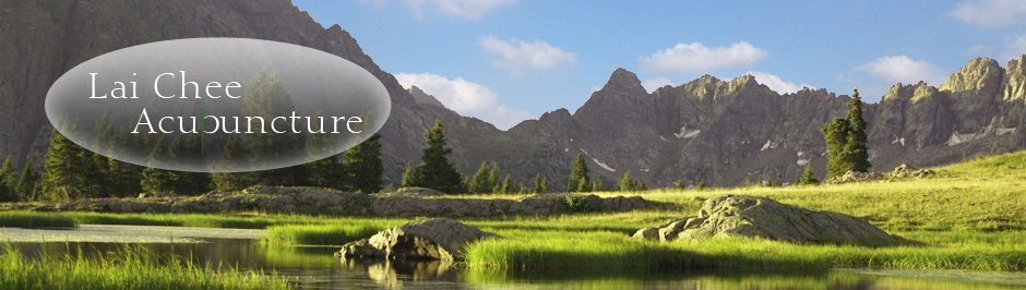 Lai Chee Acupuncture website banner - The Mountain